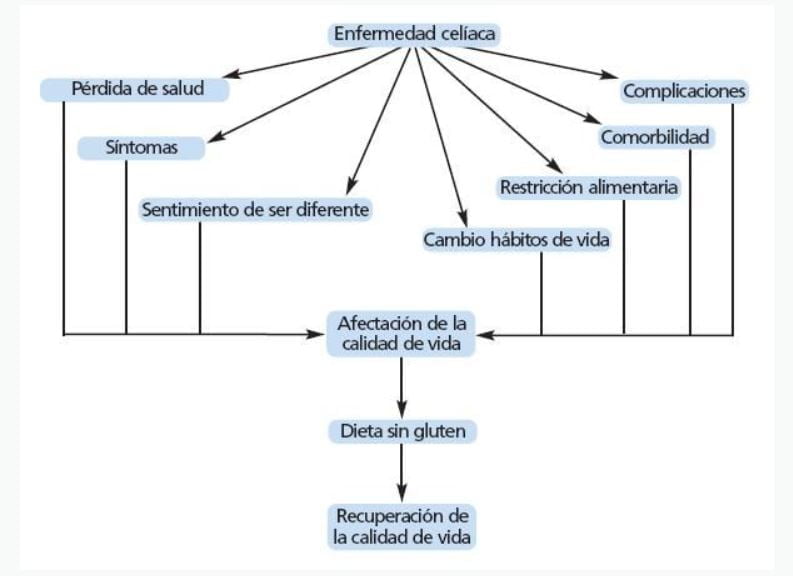 Características de la enfermedad celíaca